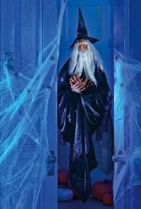 Fiber Optic Wizard Door Greeter Great for Halloween New