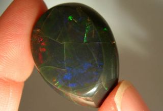 Ethiopian Wello black crystal opal with bright fire colors of red