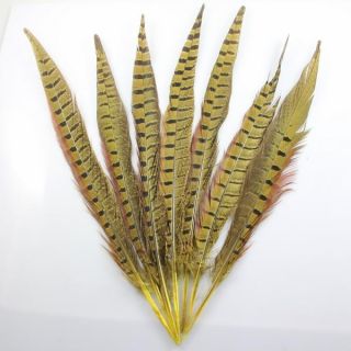  natural pheasant tail feathers color same as title picture quantity 12
