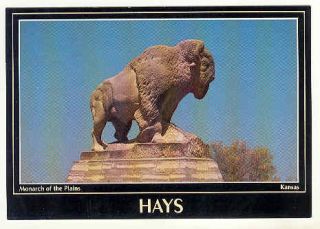 Bison Peter Felten Statue Hays KS Vintage Postcard