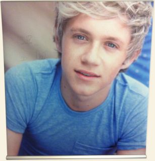 Niall Horan Signed PVC Poster Print 2MX2M One Direction Christopher