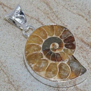 Latest Fashion Jewelry Ammonite Fossil Gemstone Silver Pendant 60ct 1