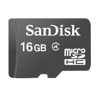  card in the world and the newest standard sd flash memory format