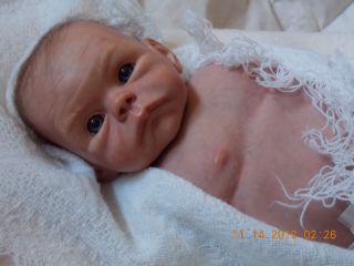 Reborn baby boy Joey by Tasha Edenhom real skin a must see PRICE