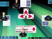 Hoyle PC Computer Card Casino Video Games Windows Vista 7 Mac Pinochle