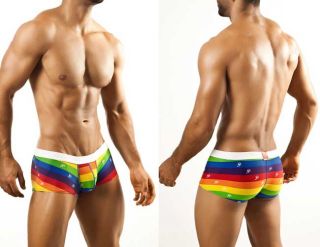 Mens Sexy Joe Snyder Rainbow Gay Interest Boxer Brief Swim Trunk Low