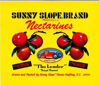 Sunny Slope Nectarines 1970s Gaffney South Carolina Original Crate