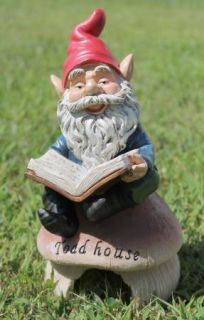 Reading Gnome Toad House Frog Home Fairy Garden Decor