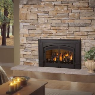 Napoleon Gas Fireplace Insert GDI 30 Direct Vent Efficient Package
