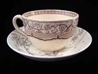 Aesthetic Brown Transferware Cup Saucer Melbourne 1883