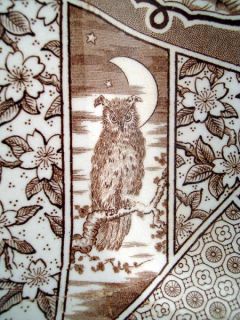 Aesthetic Brown Transferware Owl Staffordshire Platter Melbourne 1883