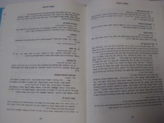 Hebrew Lipshuto Shel Rashi commentary on RASHI Bamidbar Numbers
