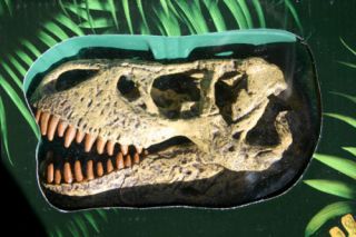 Trex T Rex Tyrannosaurus Skeleton Science Kit Geoworld