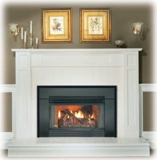 Napoleon GI3600 Gas Fireplace Insert Natural Gas or Propane