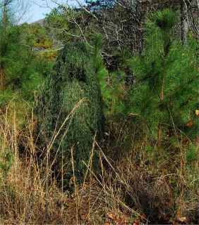 Ghillie Suit Kits Camouflage Suits Leafy Green Color