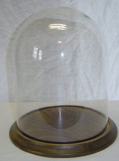Vintage Old 8x11 Glass Display Dome for Clock Taxidermy Doll Figurine
