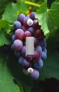 Plate Switchplate Cover Grenache Grapes on The Vine Tuscan