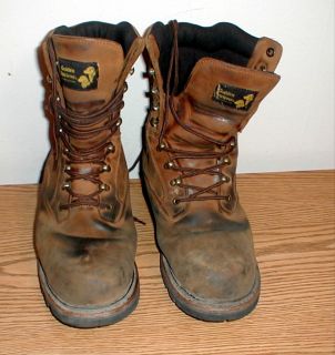 Mens Size 11 M Golden Retriever Work Boots