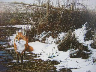 Ron Van Gilder Hunting The Fence Line Red Fox Print