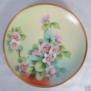 OE&G Austria China Handpainted Wild Pink Roses Plate