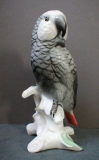 Karl Ens Porcelain Bird Figure Grey Parrot