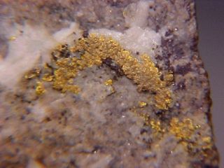 Unique Native Gold Native Copper Goldfiedlite Goldfield Nevada