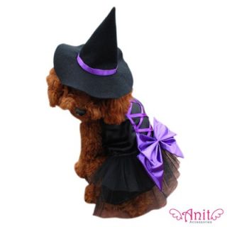 Anit Accessories Witch Dog Costume