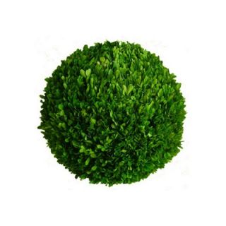 Mills Floral Boxwood 10 Ball   872SS0220