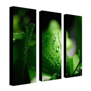 Trademark Global Green Pearl by Philippe Sainte Laudy, Canvas Art (A