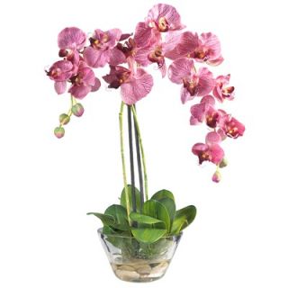 Nearly Natural Phalaenopsis Silk Orchid Arrangement in Purple with