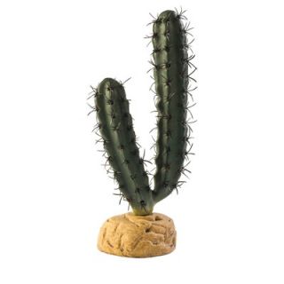 Hagen Exo Terra Finger Cactus Terrarium Plant