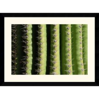  Saguaro Details by Andy Magee Framed Fine Art Print   28.62 x 38.62