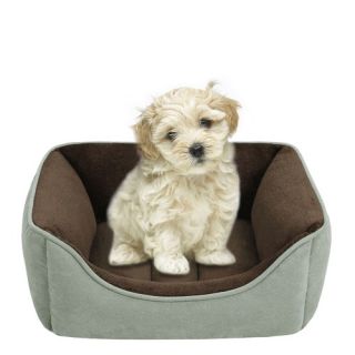 Faux Suede Reversible Rectangular Cuddler Dog Bed in Celedon/Chocolate