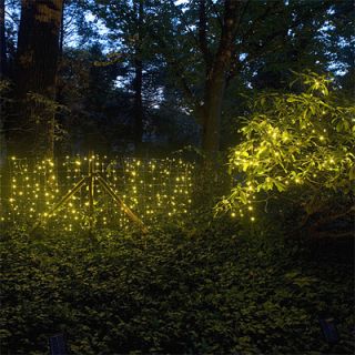Mr. Light 200 LED Solar String Lights with Clear Wire in Warm White