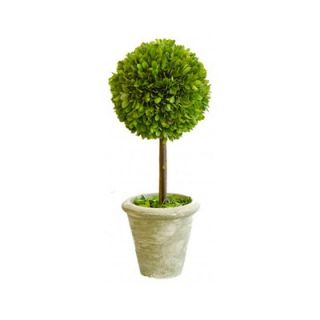 Mills Floral Box Small Single Topiary   860SS1220