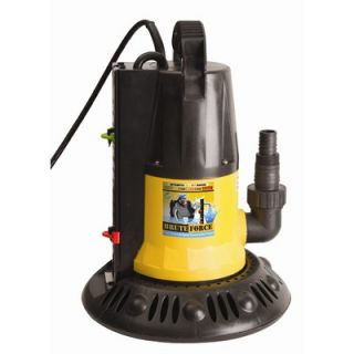 Swim Time Automatic Ground Winter Cover Pump 1250 GPH with Base