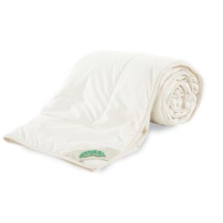 Organic Comforters & Fills