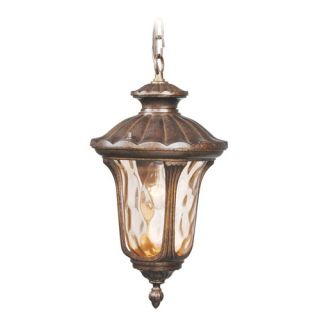 Oxford Outdoor Hanging Lantern in Moroccan Gold