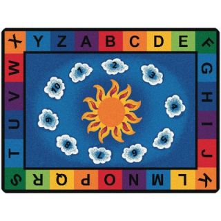 Learning Carpets Play Carpet US Map Kids Rug   LC 201