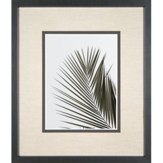 Phoenix Galleries Palm Leaf 1 Framed Print