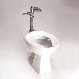 Toto Commercial Flushometer Bedpan Toilet   1.6 GPF