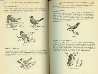  Encyclopedia of American Birds, Leon Augustus Hausman,HC/DJ