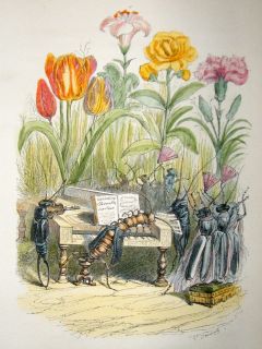 Grandville des Animaux 1842 Hand Col Print. Insects Playing Music To