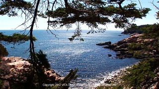 MAINE NATURE WALK TREADMILL DVD   EXERCISE & GET FIT IN ACADIA