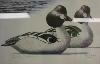 Robert w Hilty Golden Eye Ducks Print Signed Framed
