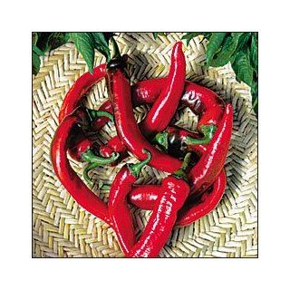 Hot Portugal Pepper   20 Seeds   Very Hot Patio, Lawn
