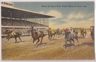 Havre de Grace Maryland Postcard Race Track Horse Race Scene