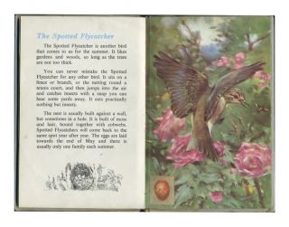 LADYBIRD BRITISH BIRDS AND THEIR NESTS (SECOND BOOK) SERIES 536 DUST