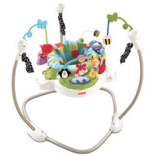 Fisher Price Discover n Grow Jumperoo: Baby