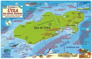 Franko Maps Utila Island Honduras Fish Reef Creature ID Card